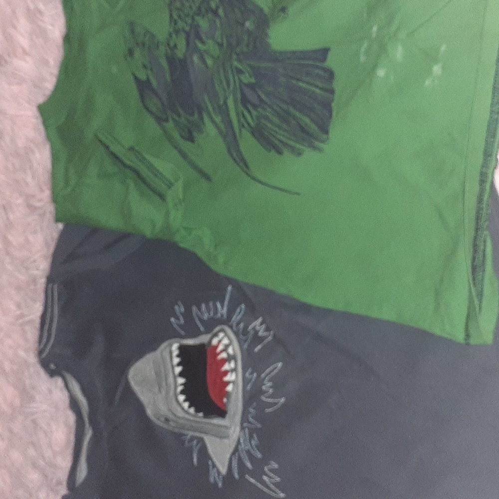 2 Hanna Anderson kids t-shirts